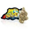Big Boy DRO Cannabis Bloemen zijn gedroogde cannabisbloemen die worden gekenmerkt door hun natuurlijke uiterlijk, aroma, structuur en cannabinoïdeprofiel. De exacte eigenschappen kunnen per cultivar en batch verschillen