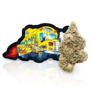 Big Boy DRO Cannabis Bloemen zijn gedroogde cannabisbloemen die worden gekenmerkt door hun natuurlijke uiterlijk, aroma, structuur en cannabinoïdeprofiel. De exacte eigenschappen kunnen per cultivar en batch verschillen